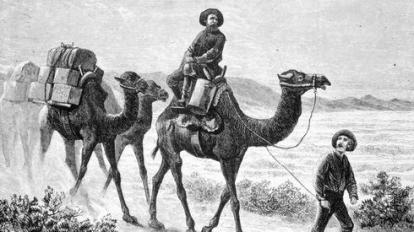 Camel Corps