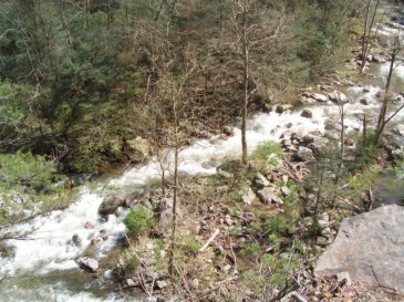 Looking into the gorge.