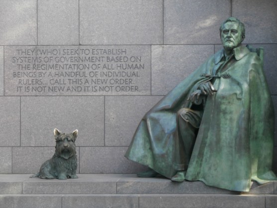 Image courtesy of author OLYMPUS DIGITAL CAMERA