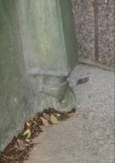 Image courtesy of author OLYMPUS DIGITAL CAMERA