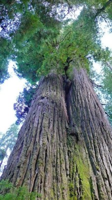 Image courtesy of vagabondians.com 9143084179_449367ae07_b