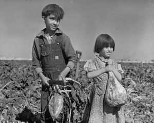 Children working in Nebraska fields, 1940