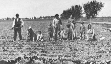 A German-Russian sugar beet worker family