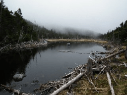 lake tear of the clouds