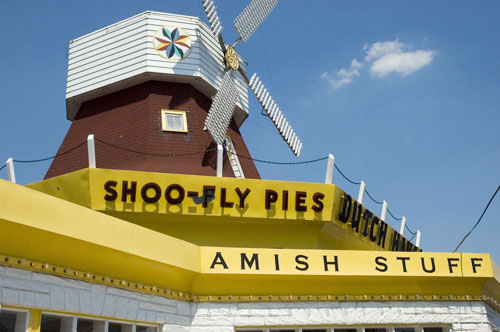 20080709-shooflypie1