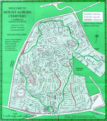 f94d8-media_httpwwwlotsawebcomwangalmtauburnmtauburnmapwebjpg_smdfmjafcjhuodc