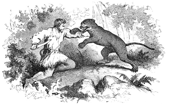 5373c98e9e7fe-image-1