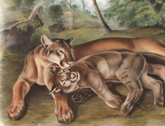 2865B_161477-1_COVER