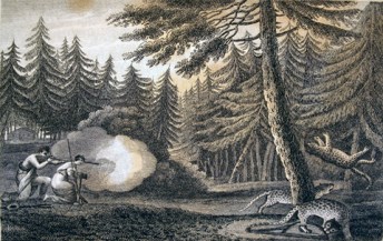 hunt_Barralett-panthers